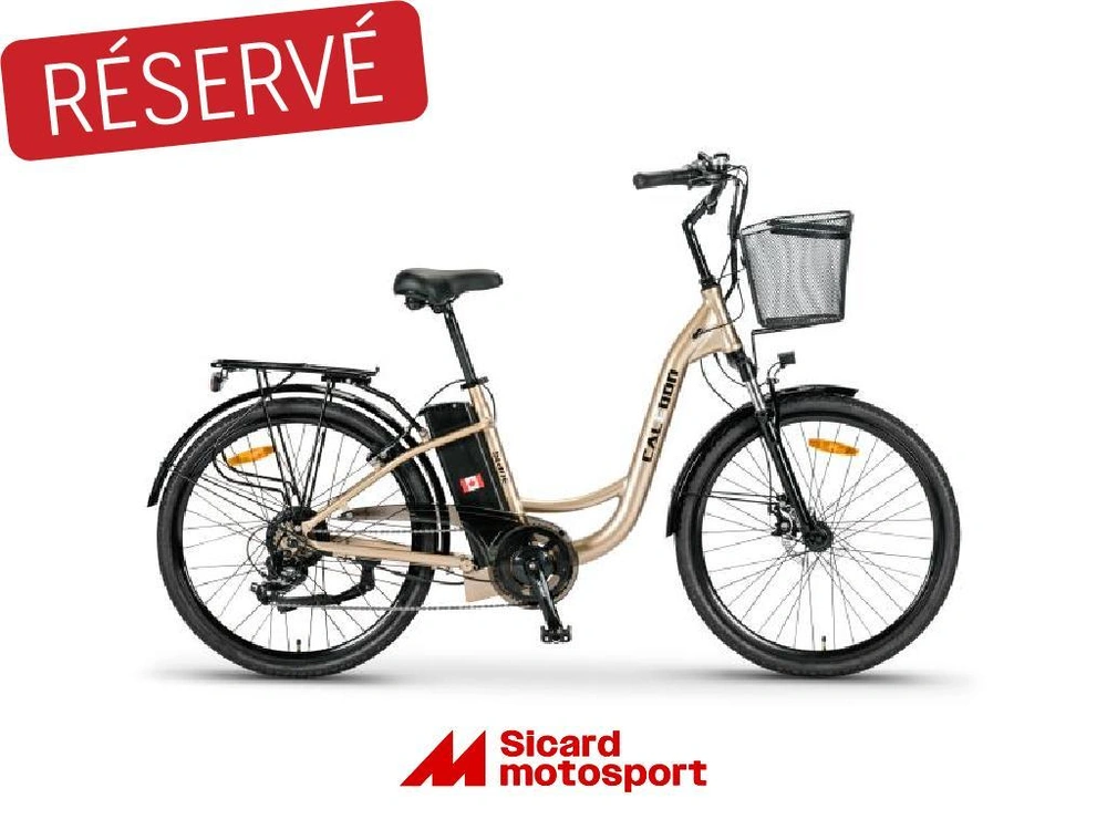 Slane Caledon 2023 alt