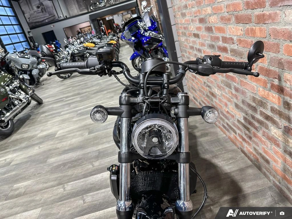 2026 Harley-davidson Nightster alt