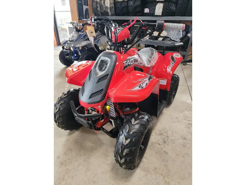 2026 Others Tao Rock 110cc alt