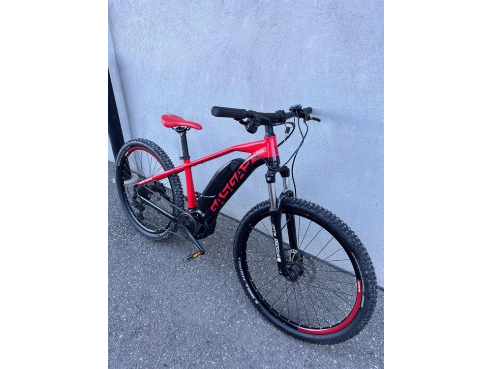 2023 Gasgas G Cross Country 1.0 S alt