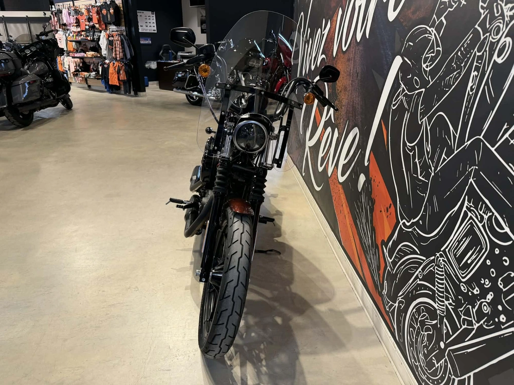 Harley-davidson Xl 1200ns 2019 alt