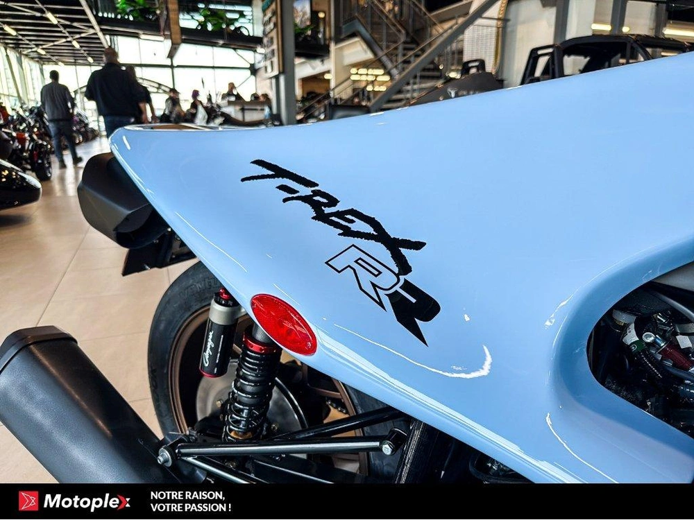 2026 Campagna T-rex Rr alt