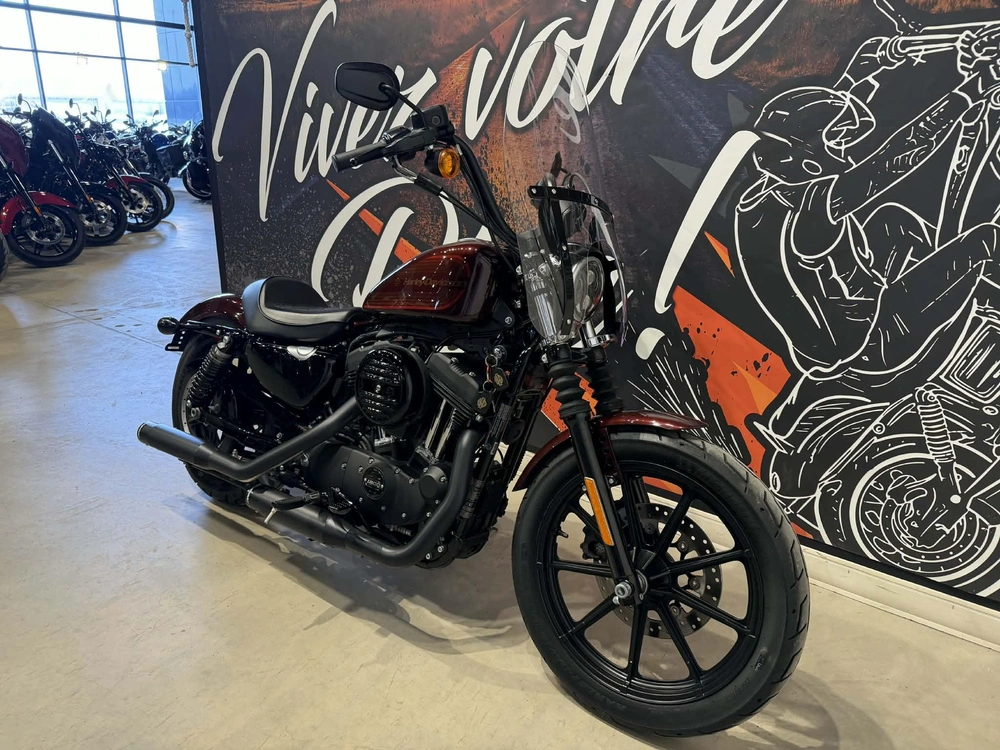 Harley-davidson Xl 1200ns 2019 alt
