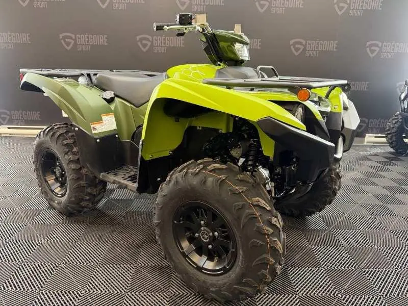 2026 Yamaha Grizzly DAE thumbnail 4