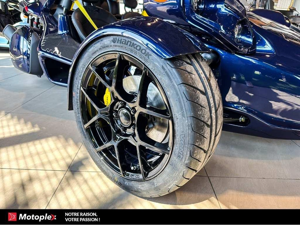 2026 Campagna T-rex Rr alt