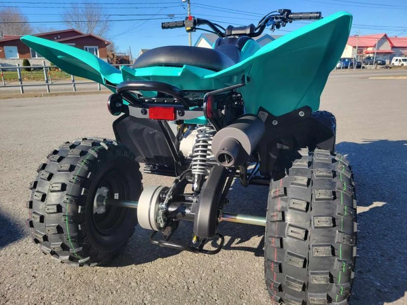 2025 Yamaha Raptor 110 alt