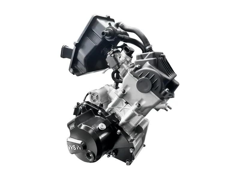 Arctic Cat WIDESCAPE 250 US BLACK | 🌟 Alternative moderne au Snow Hawk 🌟 | 2024