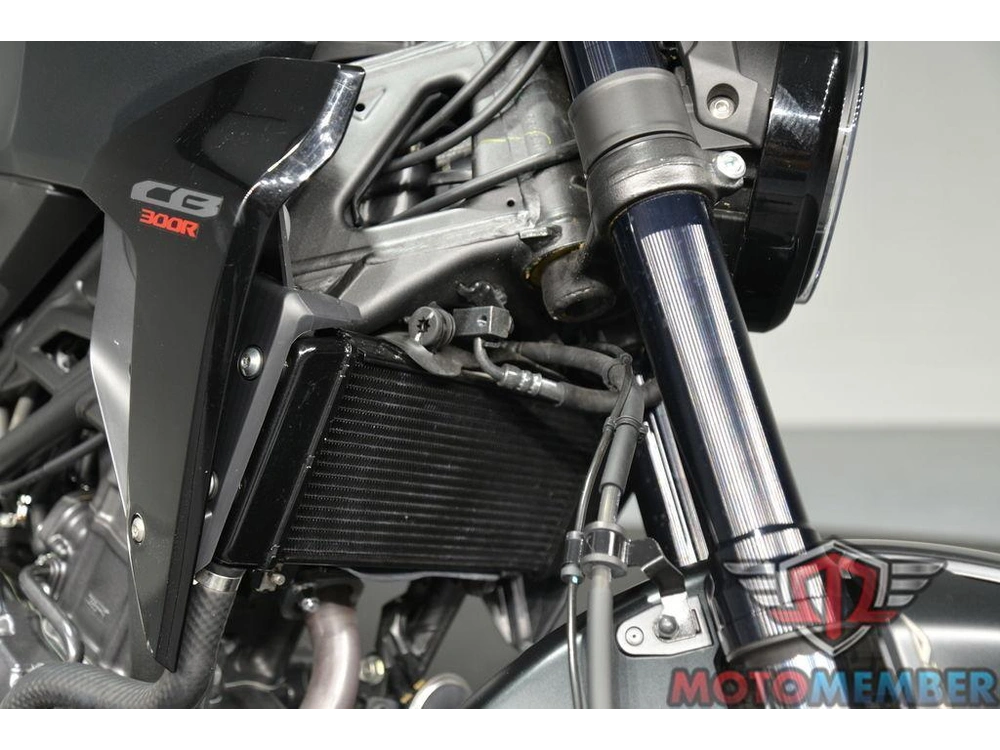 2025 Honda Cb300r alt