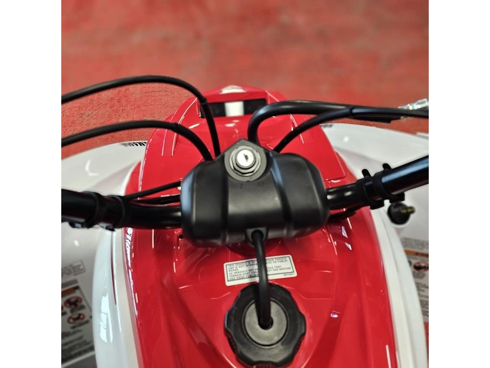 2026 Yamaha Raptor 700r Se alt