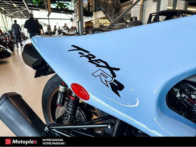 2026 Campagna T-Rex