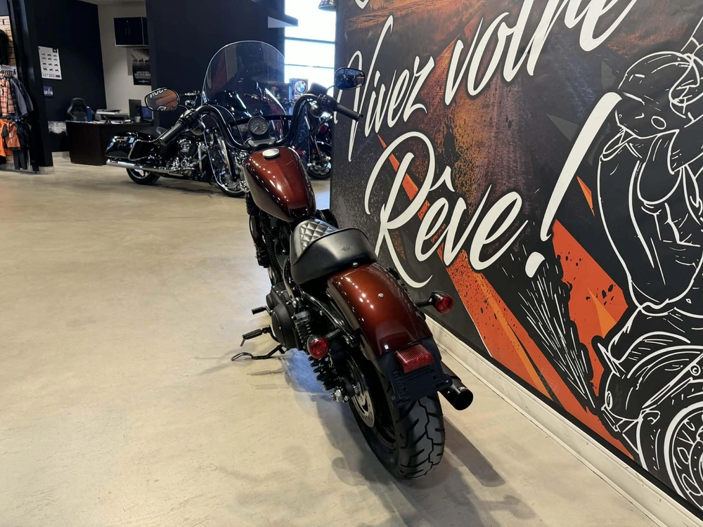 Harley-davidson Xl 1200ns 2019 alt