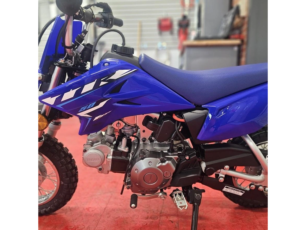 2026 Yamaha Ttr 50e alt