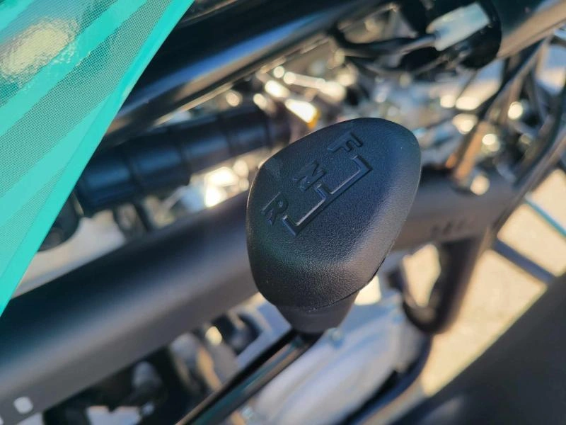 2025 Yamaha Raptor 110 alt