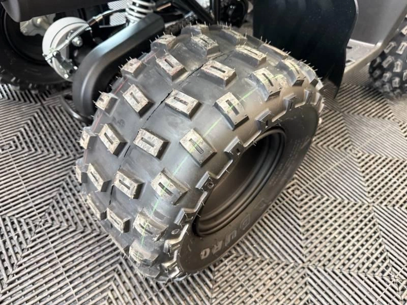 2025 Yamaha Raptor 110 alt