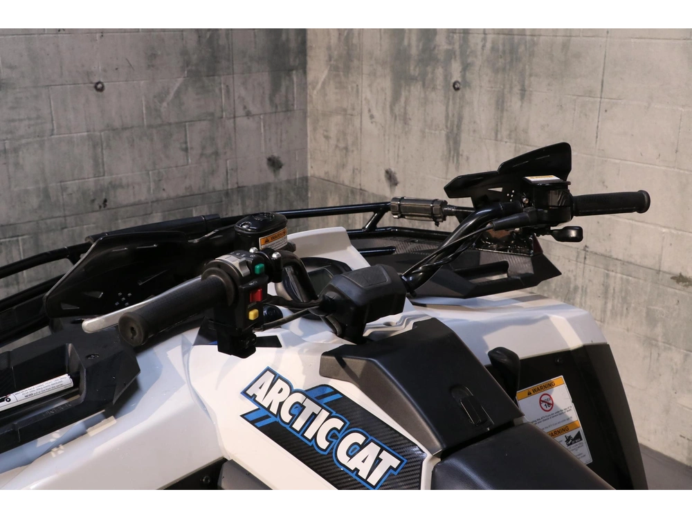 Arctic Cat Alterra 600 2023 alt