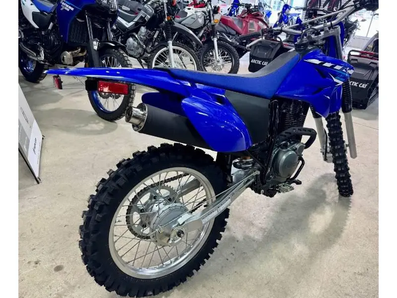 2026 Yamaha TT-R230 thumbnail 3