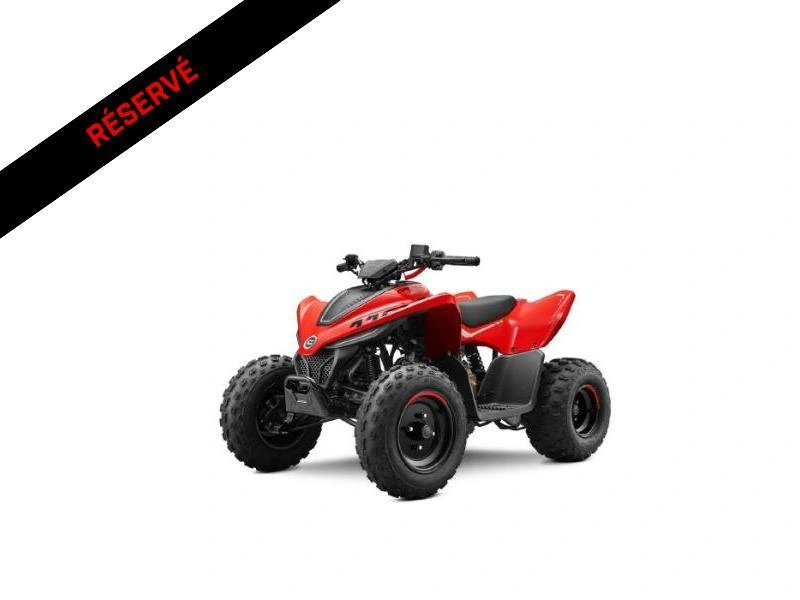 Cfmoto Cforce 110 Classic 2026 alt