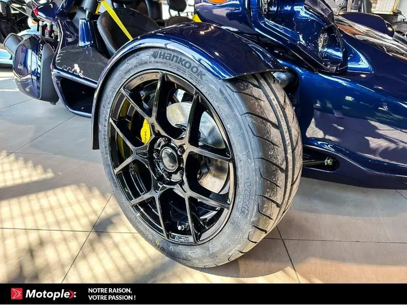2026 Campagna T-Rex