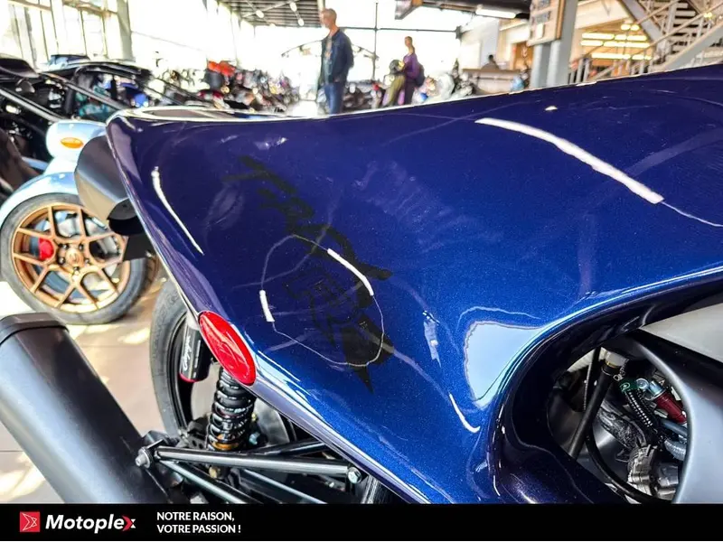 2026 Campagna T-Rex