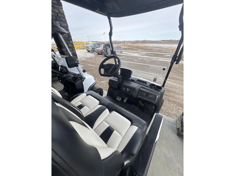 2026 Hdk D5 Ranger 2+2 White Mineral alt