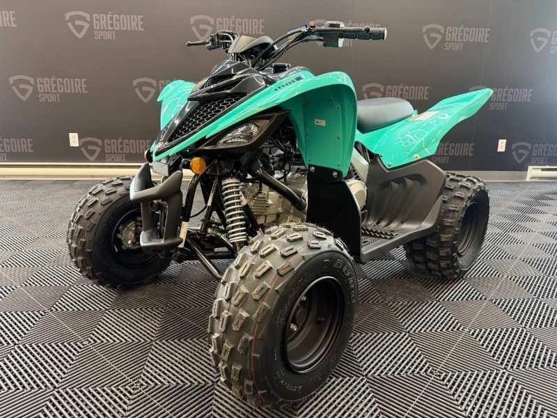 2025 Yamaha Raptor 110 alt