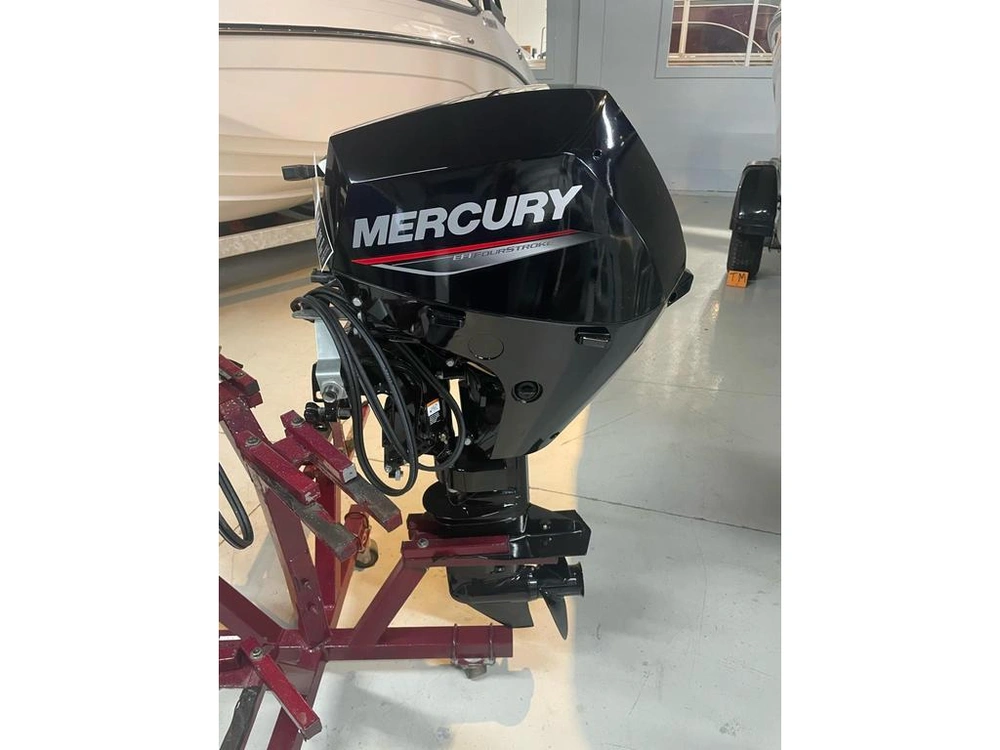 2022 Mercury 9.9e 4s E alt