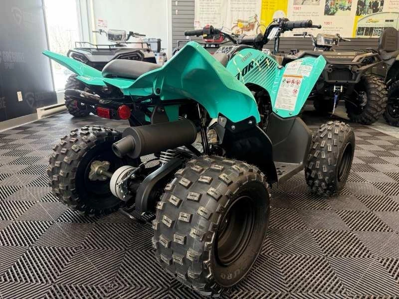 2025 Yamaha Raptor 110 alt