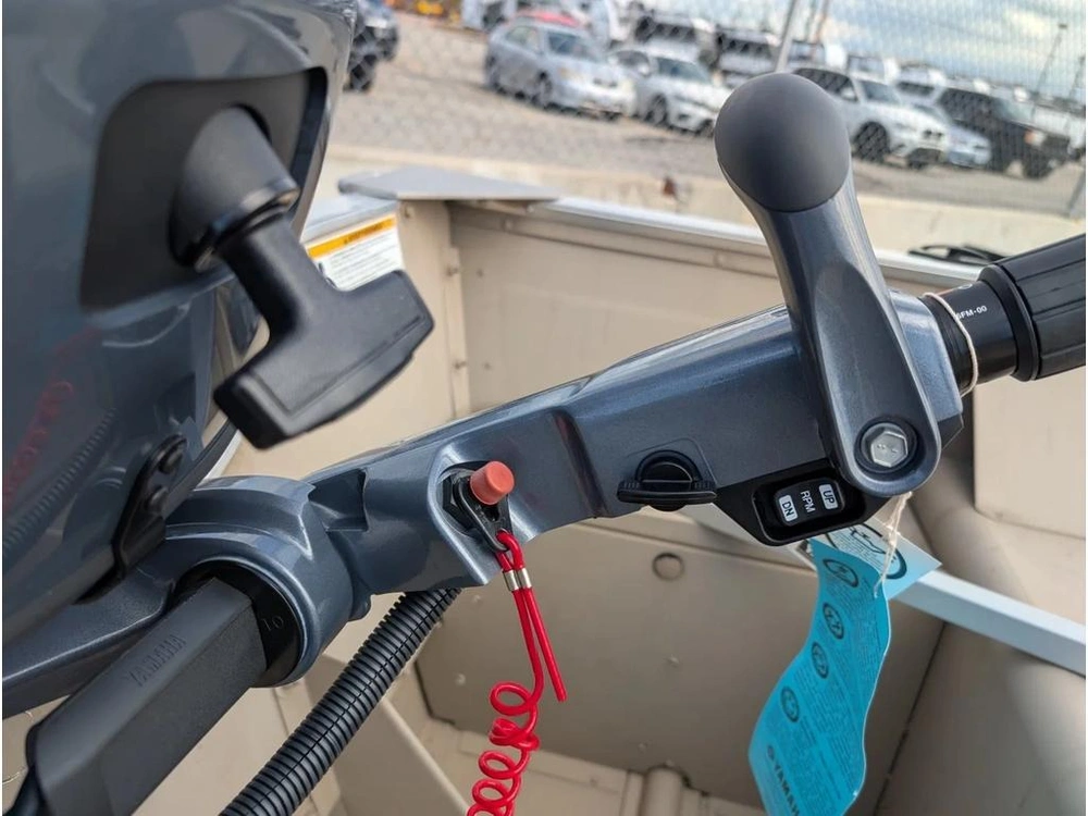 2025 Yamaha Freedom alt