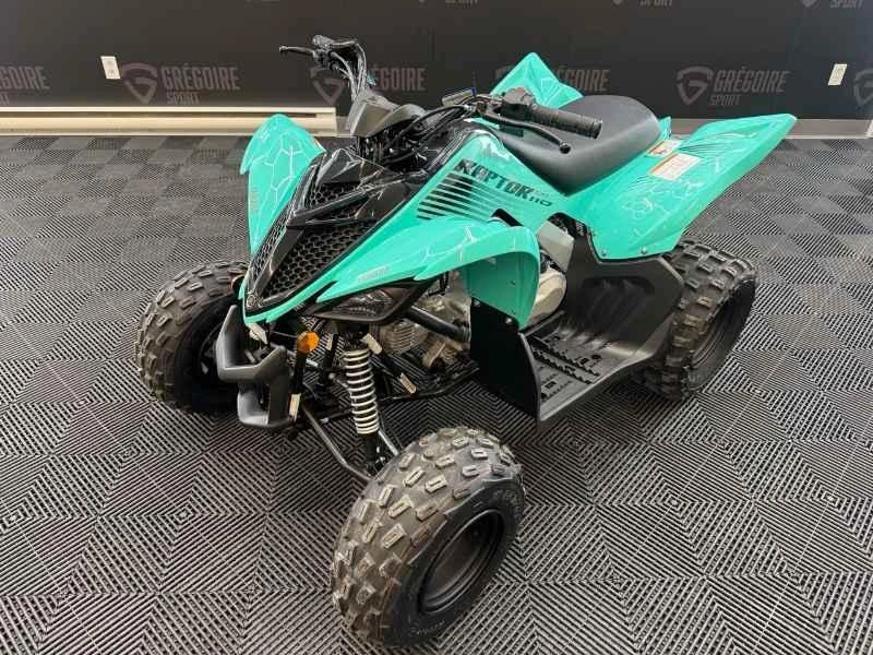 2025 Yamaha Raptor 110 alt