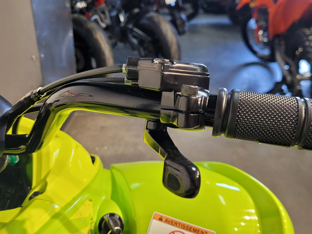 2026 Yamaha Raptor 110 *à Partir De 2.99%💳 alt