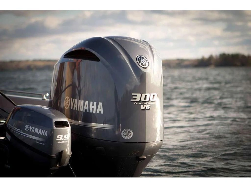 2025 Yamaha F9.9lmhb Portable Manual alt