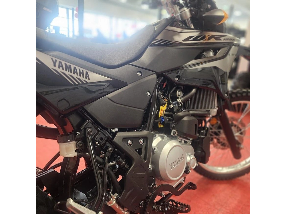 2026 Yamaha Wr 125r alt