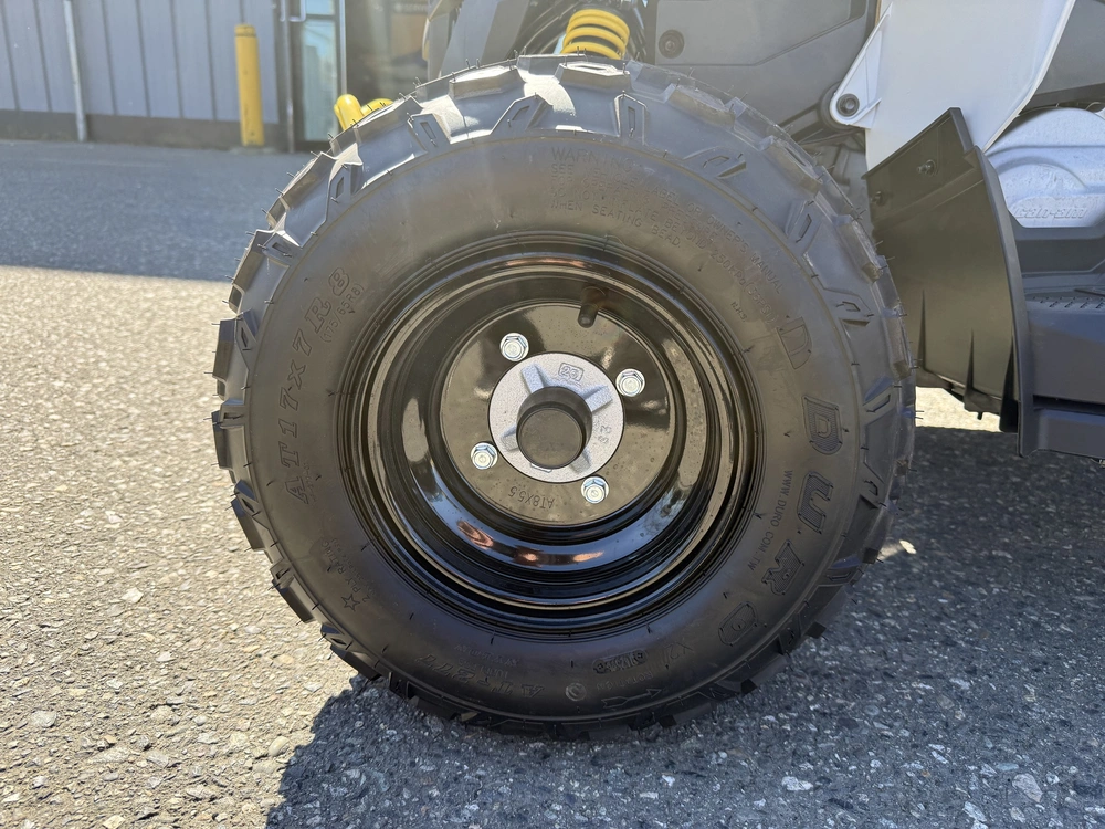 2026 Can-am Renegade 70 Efi alt