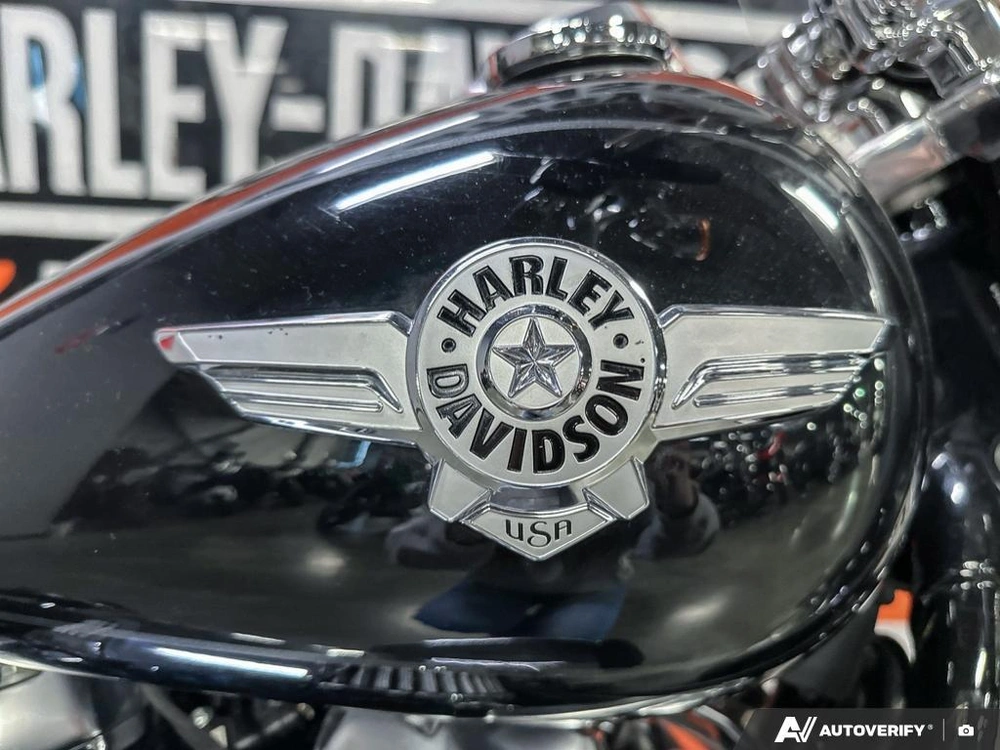 2019 Harley-davidson Flfbs - Fat Boy® 114 alt