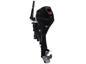 2023 Mercury 9.9elhpt alt