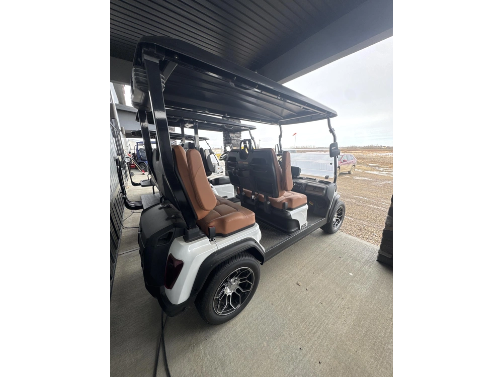 2025 Hdk D5 Ranger 4 White Mineral W) Brown Seats alt