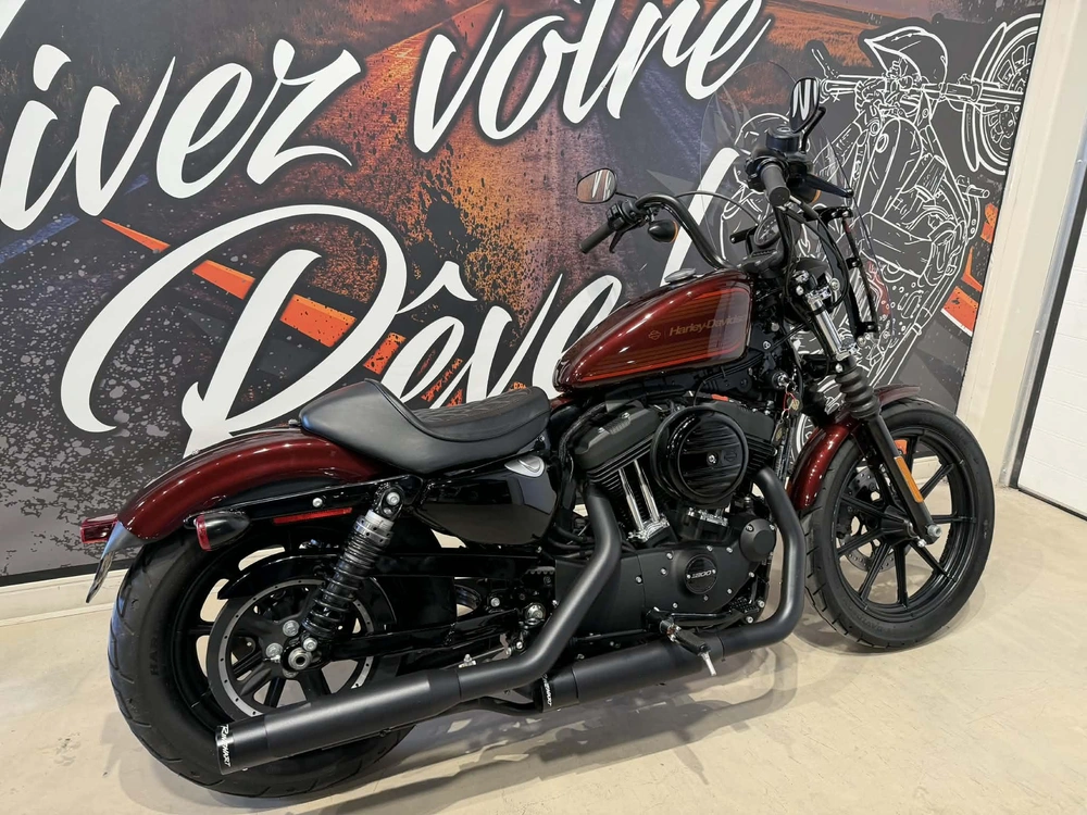Harley-davidson Xl 1200ns 2019 alt