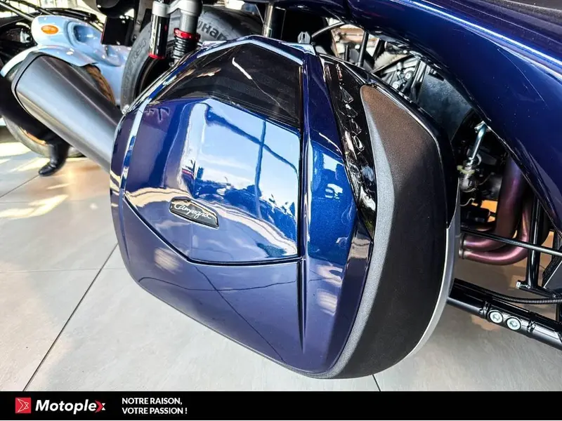 2026 Campagna T-Rex