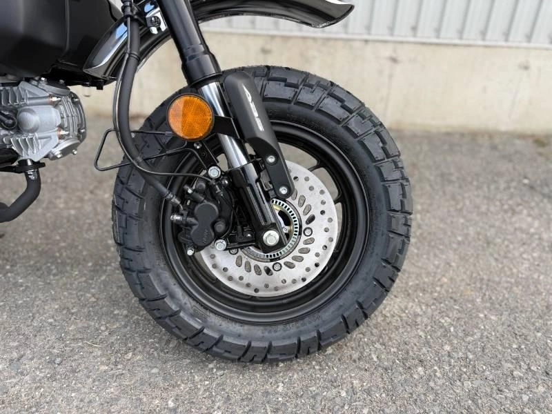 Honda Monkey 2026 alt