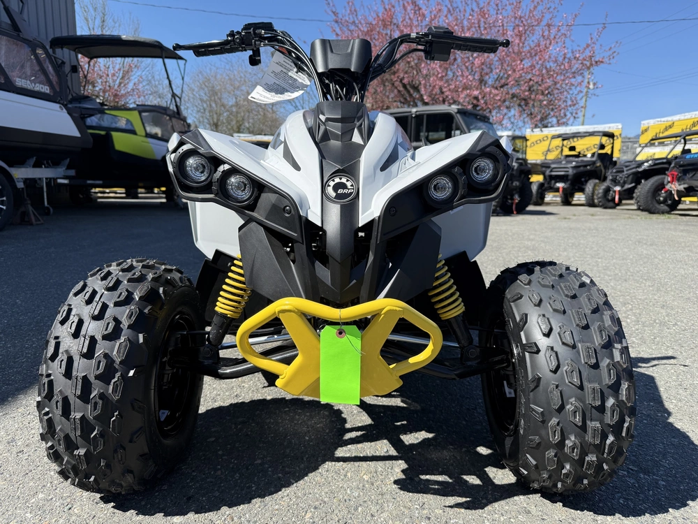 2026 Can-am Renegade 70 Efi alt