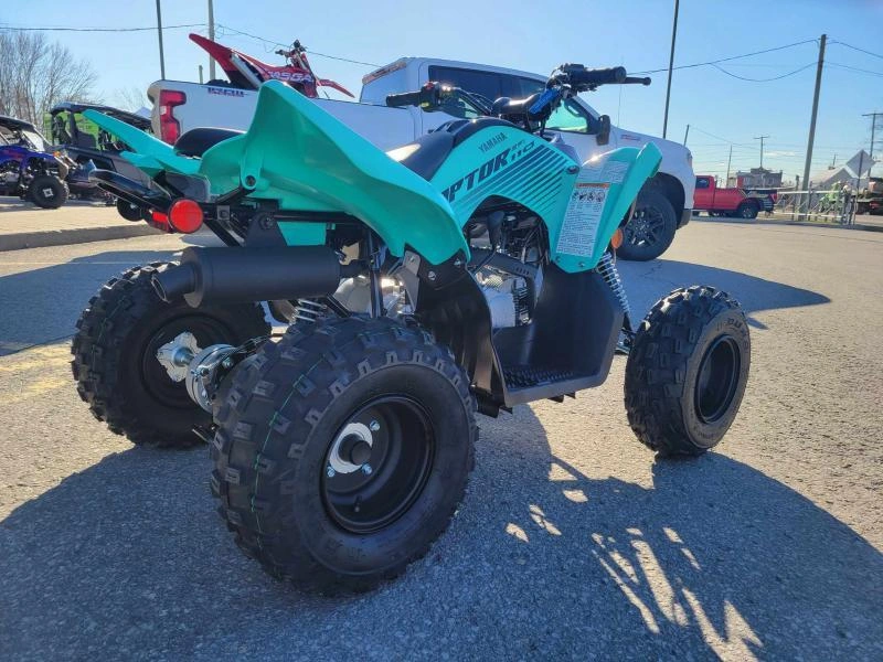 2025 Yamaha Raptor 110 alt