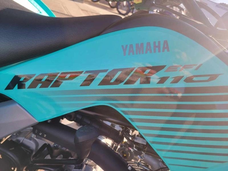 2025 Yamaha Raptor 110 alt