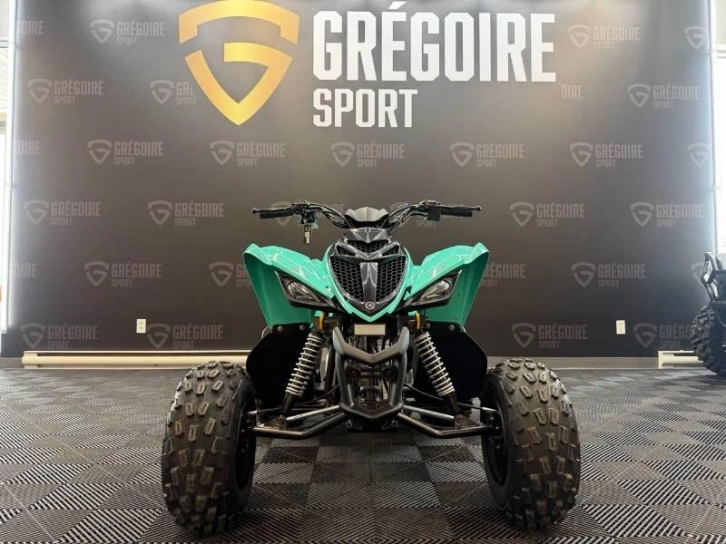 2025 Yamaha Raptor 110 alt