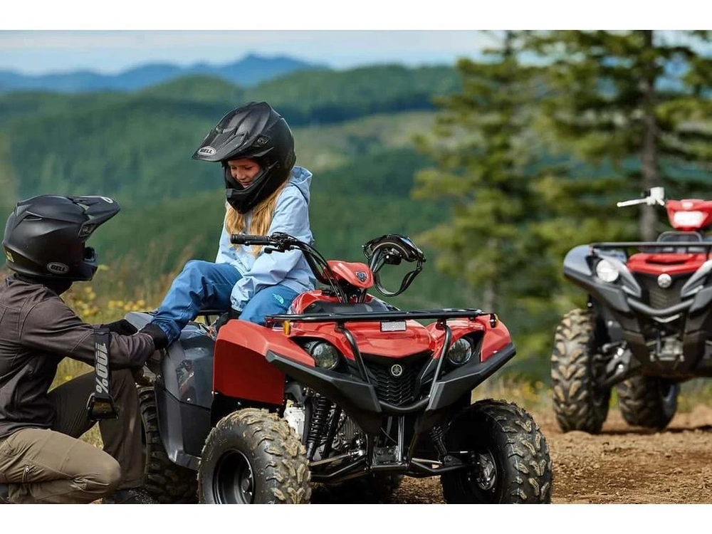 2025 Yamaha Grizzly 110 Grey Metallic/red - Last 2025 Grizzly 110 In Stock! alt