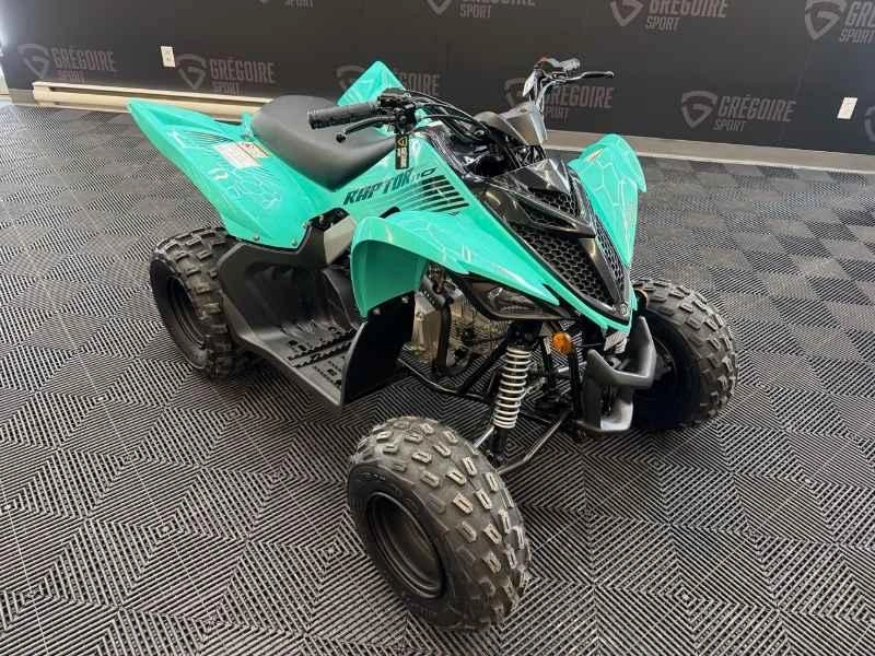 2025 Yamaha Raptor 110 alt