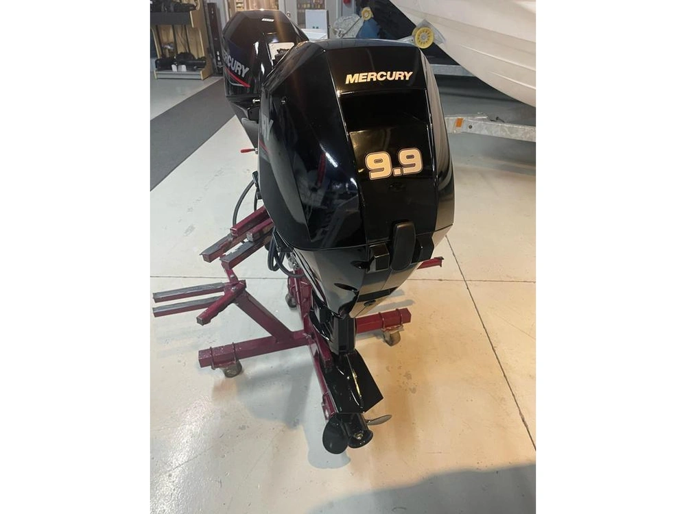 2022 Mercury 9.9e 4s E alt