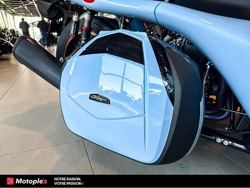 2026 Campagna T-Rex
