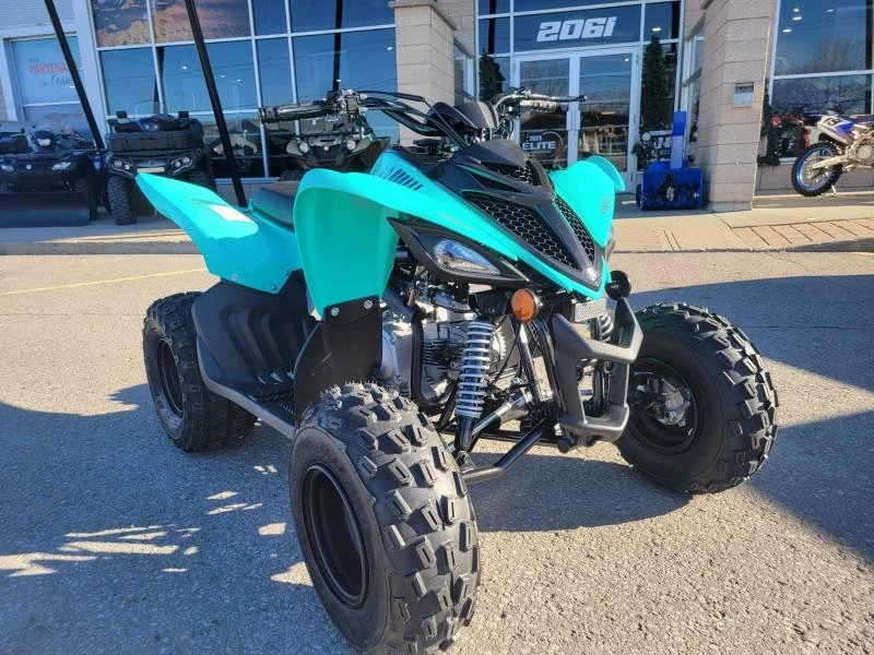 2025 Yamaha Raptor 110 alt