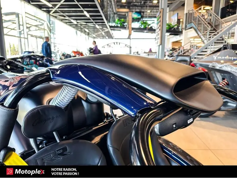 2026 Campagna T-Rex