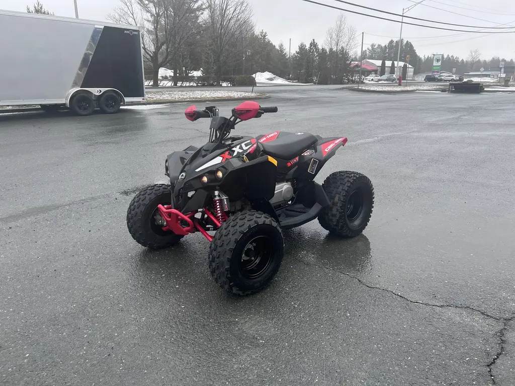 CAN-AM RENEGADE 110 2024